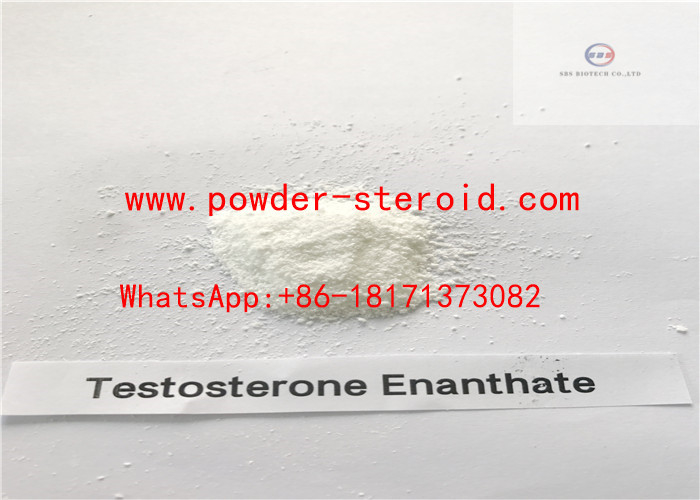 Supplementen van Androtardyl Bodybuilding van het testosteron enanthate de Ruwe Steroid Poeder
